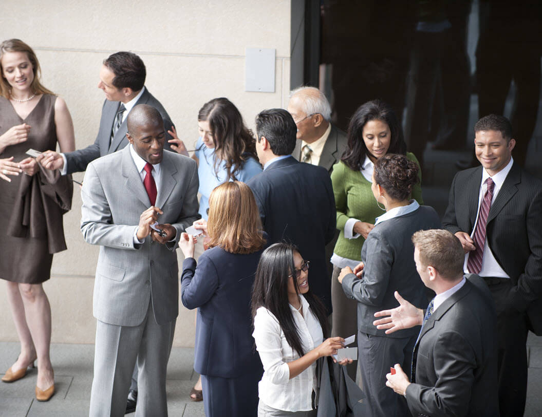 Group of business professionals networking