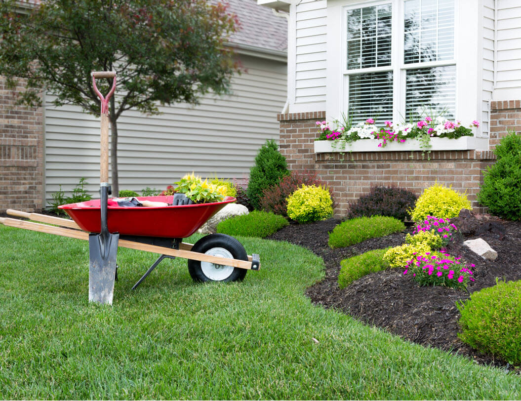 wheelbarrow on a green lawn